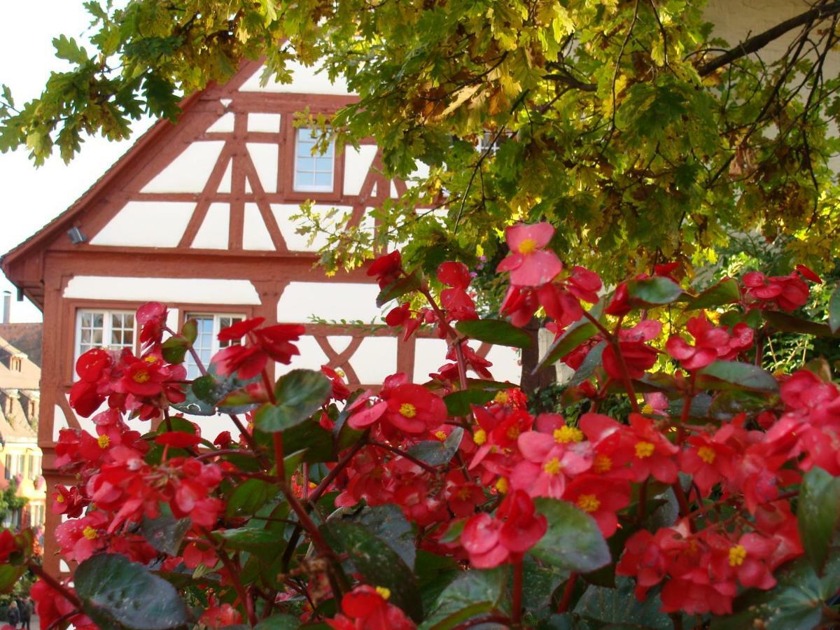 Haus Meersburg Garten Exterior photo